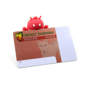 metallic plastic gold and silver card