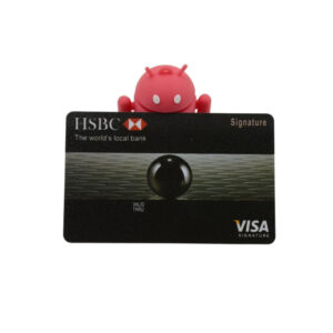 sport & recreation club card (copy)