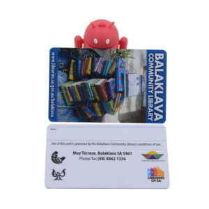 libraries of sa balaklava community library