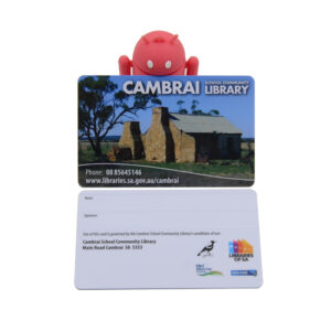 libraries of sa cambrai school community library