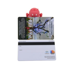 libraries of sa campbelltown public library & toy library