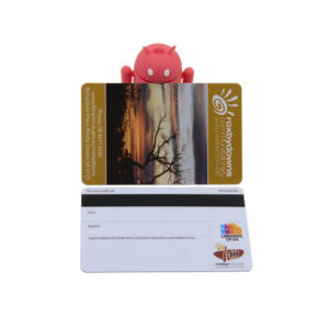 libraries of sa roxbydowns community library 2