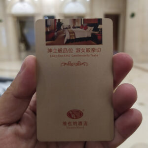 vienna hotel lock rfid key card