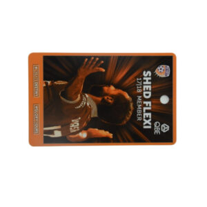 plastic car access card (copy)