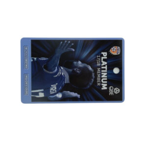 plastic car access card (copy)